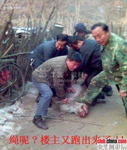 爆佛山南海区某医院<em>黑幕</em>