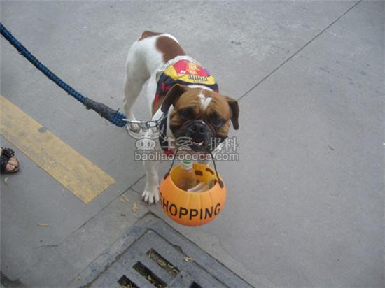 报料_奥一报料_南都报系综合报料平台