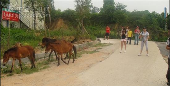 光明农场众<em>美女</em>拍马<em>吃奶</em>!