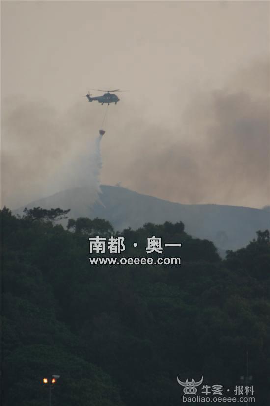 [视频]香港发生山火 罗湖口岸上空浓烟弥漫