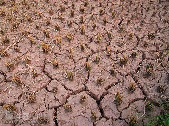 前天深圳为什么下雨了,好久没见此景了_广东