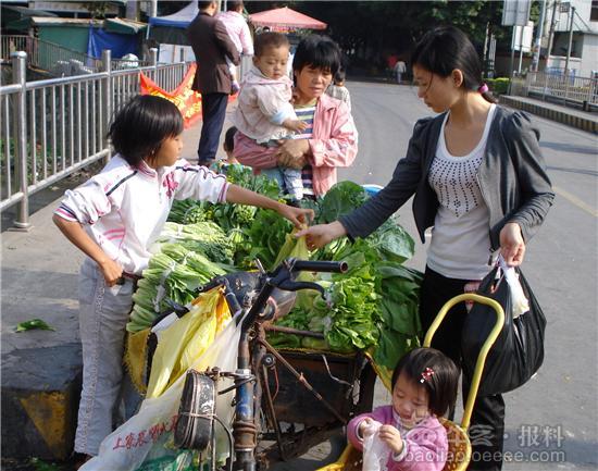 街头卖菜短剧，生活的色彩与奋斗的旋律