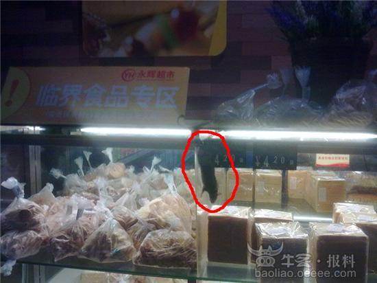 重庆永辉超市面包架上的老鼠