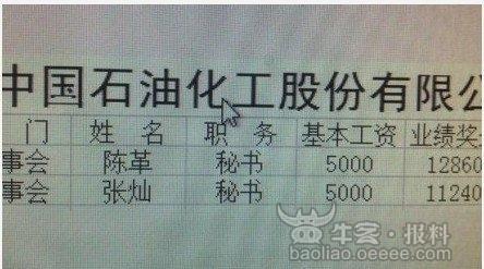 2000年人均工资_中国石化人均工资(3)