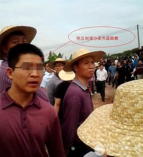 官商勾结惠州市仲恺区陈江镇石圳村暴力强行拔树