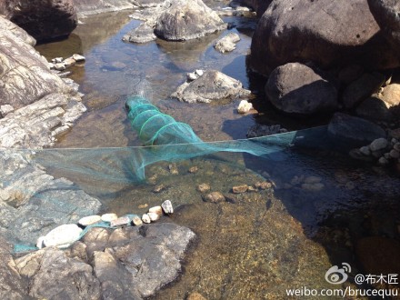 七娘山溪谷有人放捕鱼笼捕鱼