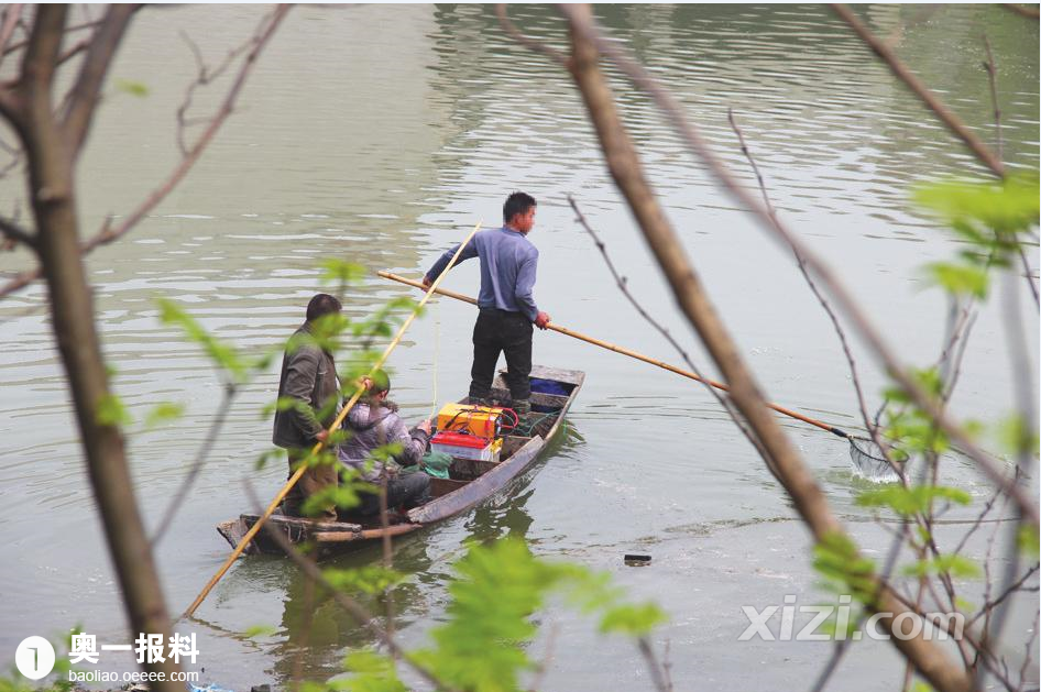 惠州惠东县一男子操作电鱼机,同伴帮拾鱼获不
