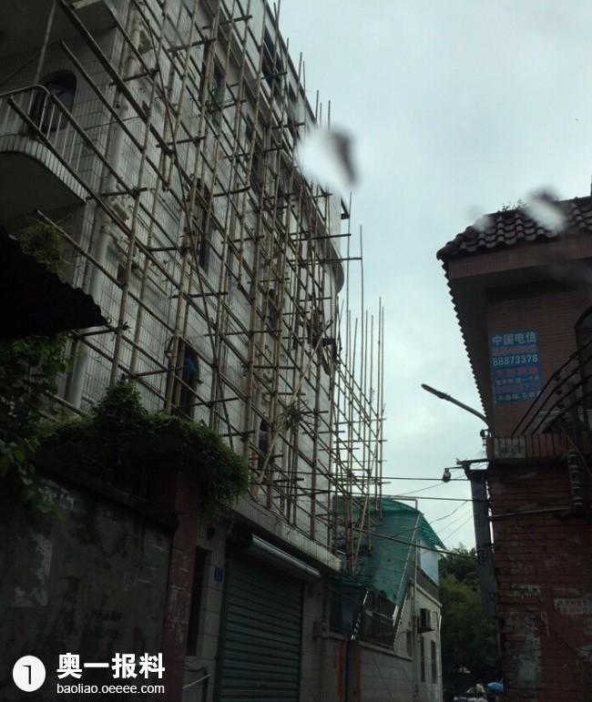 最近违建很猖狂,桃园执法队都不管_报料_民声