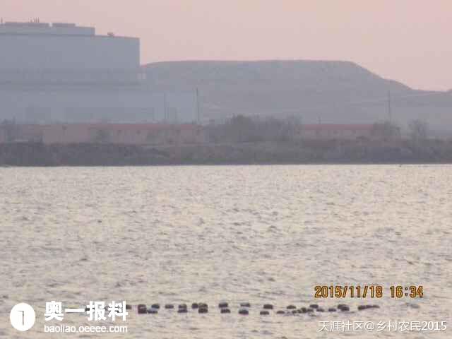 举报流氓村霸王正河破坏土地盗用国家资源太猖