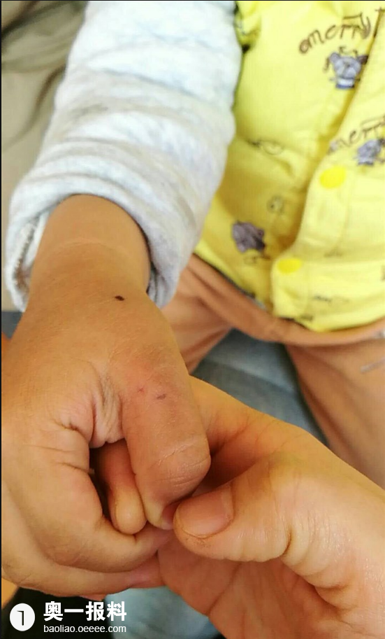 可以咬的被子是什么意思 20190224551x913_1550976355704118.png