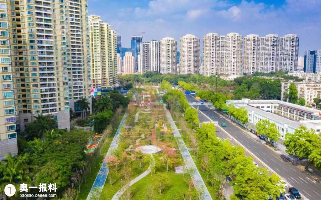 深圳上步绿廊公园将密林改造为疏林草地是否浪费