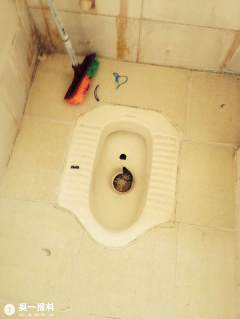 深圳房租退租纠纷,租客海关科长怒砸房屋_报料