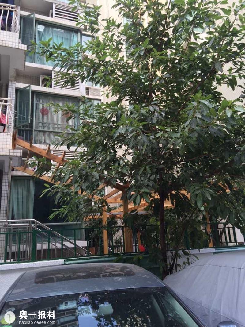 深圳星海名城业主维权_报料_民声汇_奥一报料