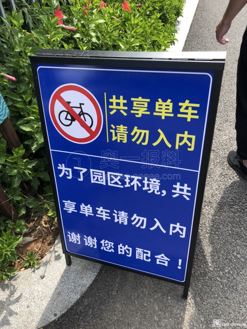 燕罗湿地公园禁止共享自行车骑行