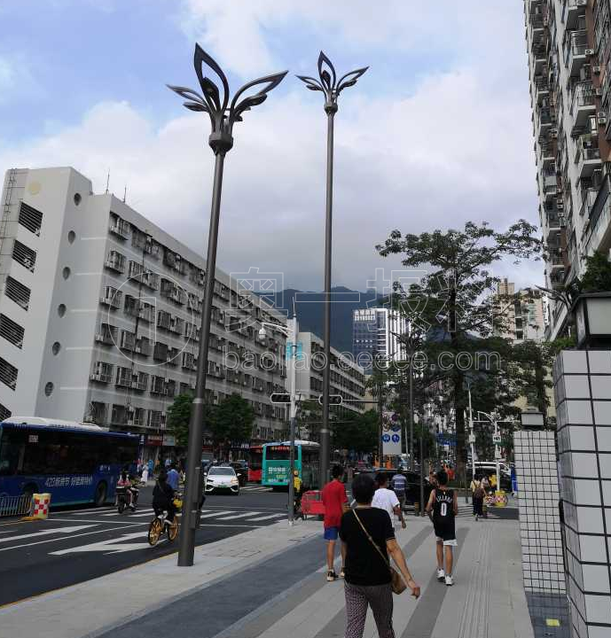 国威路路灯密度大50米就有四盏路灯