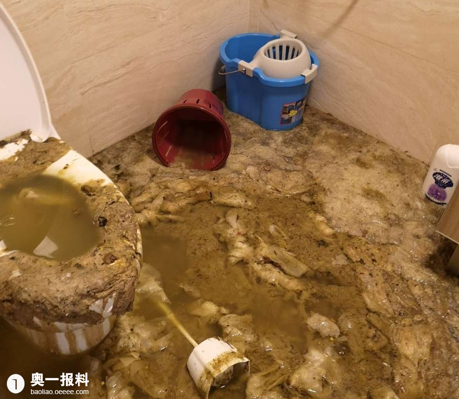 太恶心了新房未入住被屎尿倒灌找谁负责
