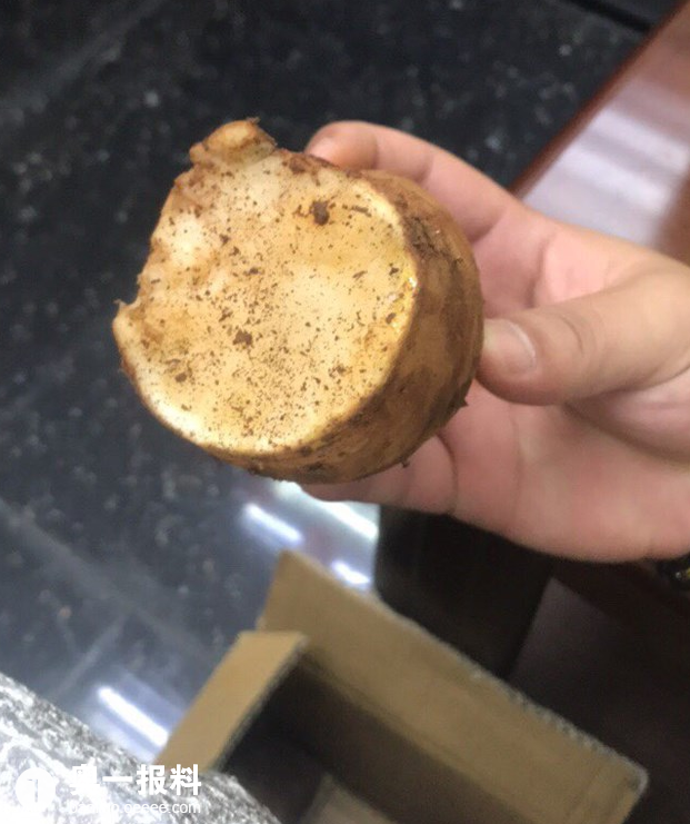 不要再拼多多上买东西啦全部都是劣质产品