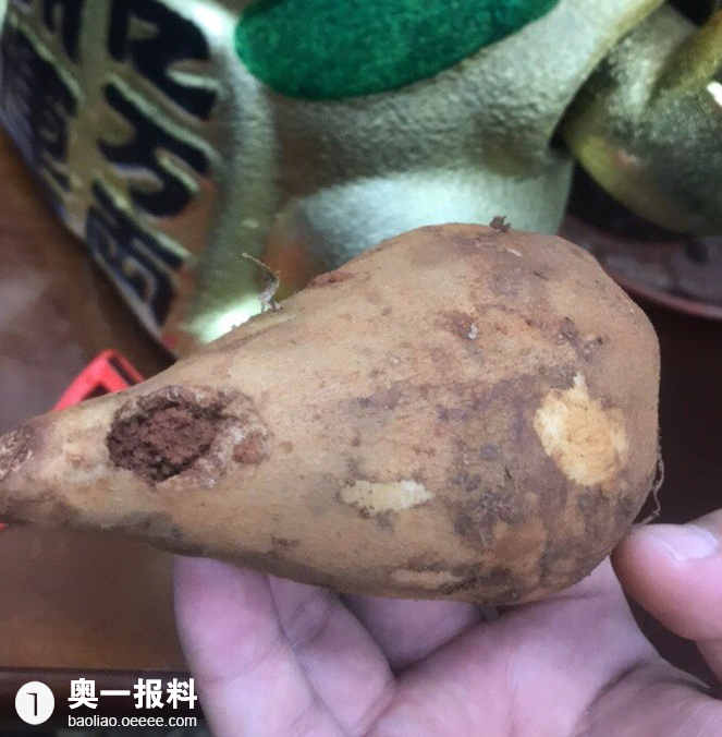 不要再拼多多上买东西啦全部都是劣质产品