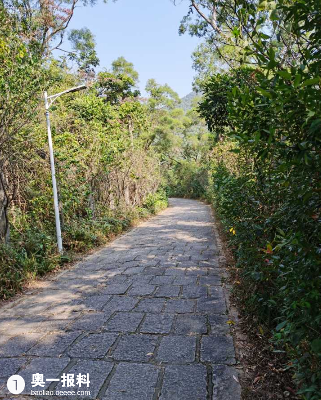 梅林绿道石板路缝隙种上青草有必要吗