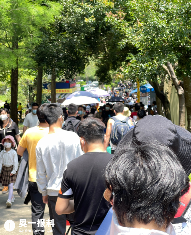 马峦山郊野公园人多到限流了